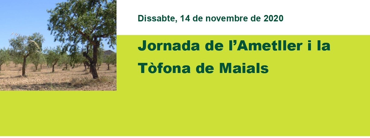 Jornada de l'ametller i la tòfona